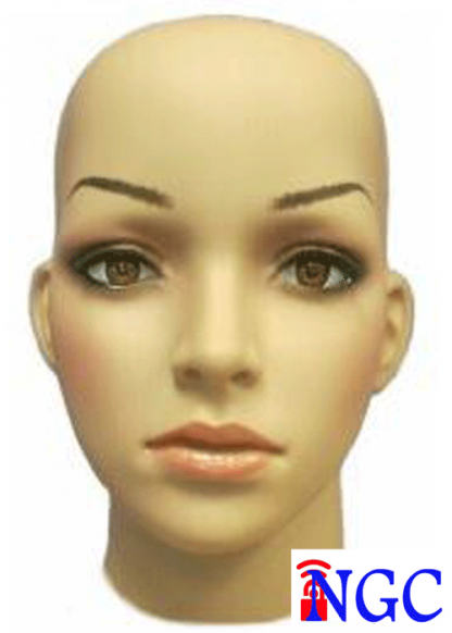 F11 ⁞ Realistic Female Mannequin - Image 3