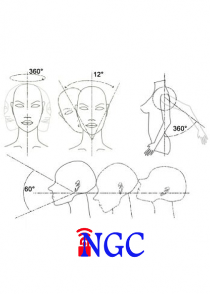 F11 ⁞ Realistic Female Mannequin - Image 2
