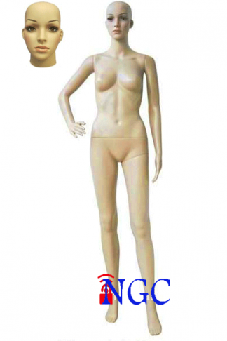 F11 ⁞ Realistic Female Mannequin
