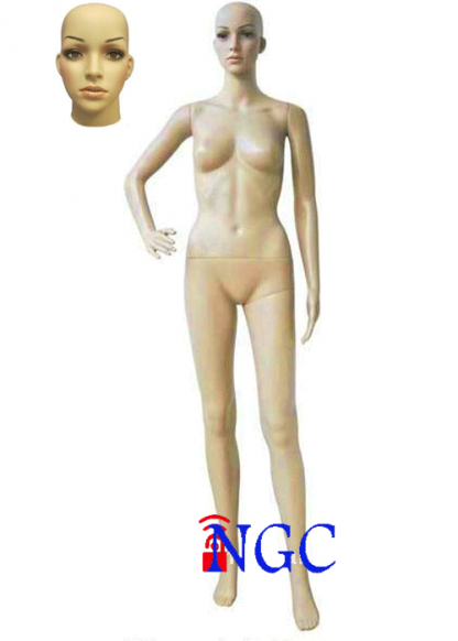 F11 ⁞ Realistic Female Mannequin