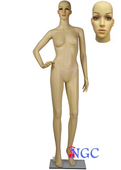 F8 ⁞ Realistic Female Mannequin